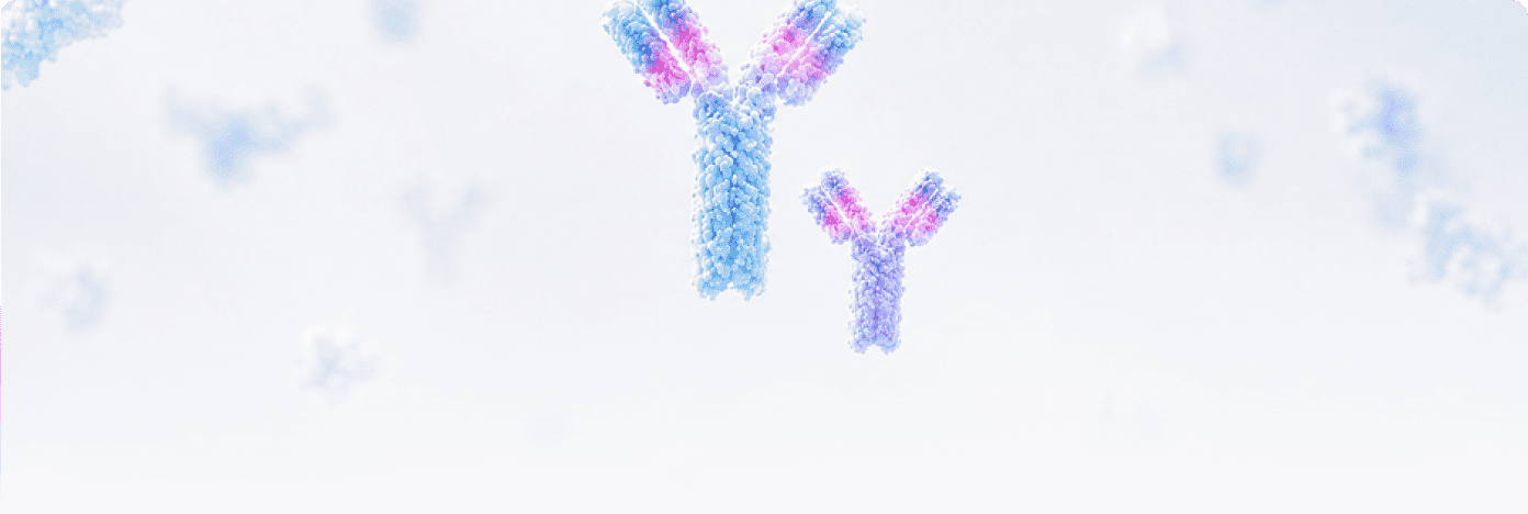 Secondary Antibodies